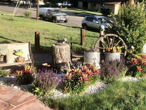 Beautiful flowers and Pikes Peak views from front yard of property.