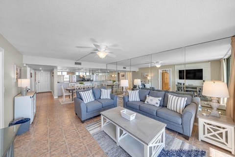 New sleeper sofa and love seat