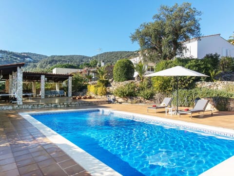 Water, Plant, Sky, Property, Swimming Pool, Azure, Chair, Tree, Shade, Outdoor Furniture