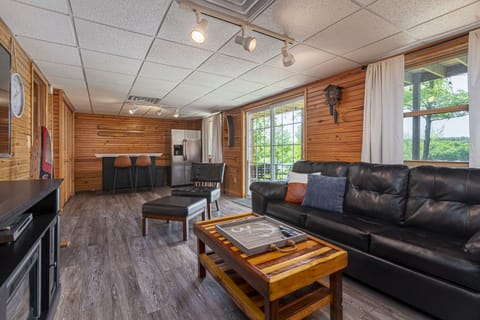 Lower level living room and bar area