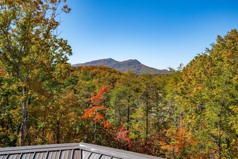 Fall view of Bluff mountain off back deck