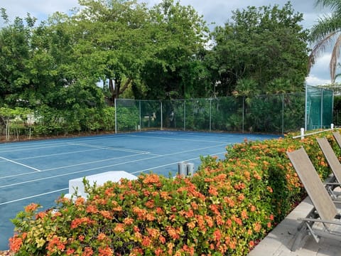 Sport court