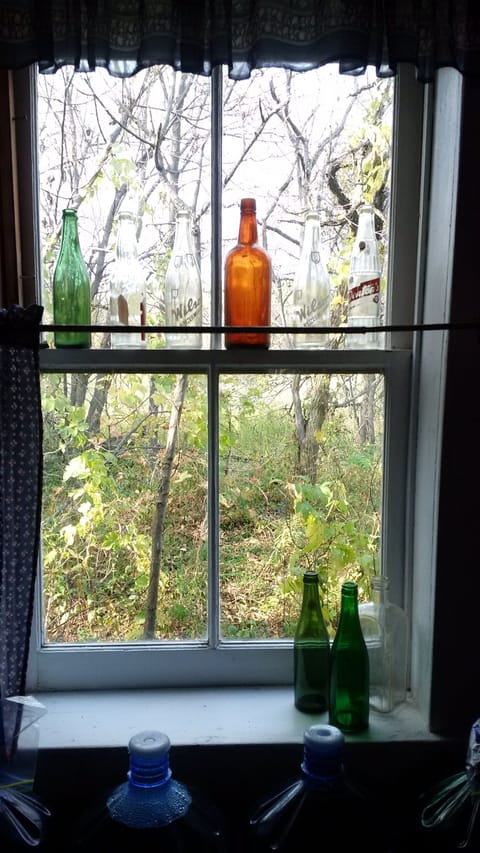 View from back kitchen window