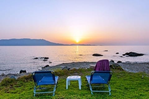 Area that directly surrounds the property. at front of the house