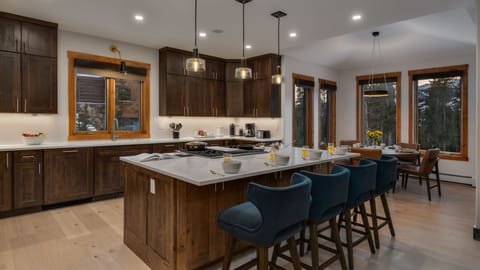 Gourmet kitchen with bar seating