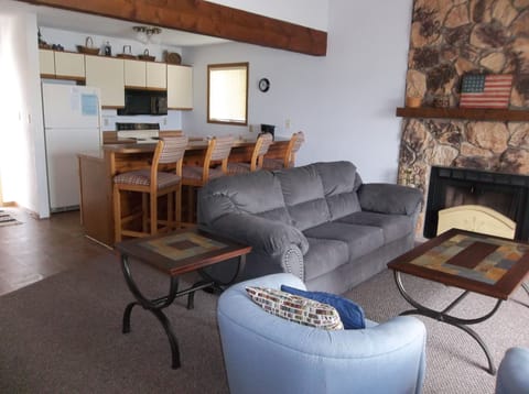 Combination living room and kitchen