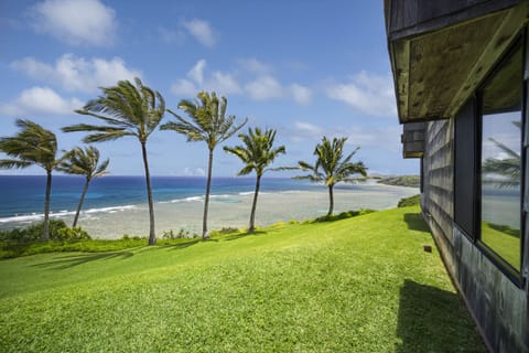 Ocean View (1)
