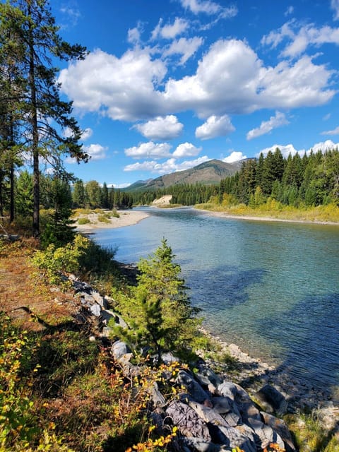 View up river from the deck