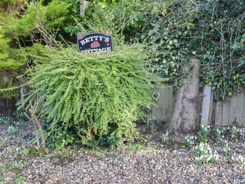 Garden | Betty&rsquo;s Cottage, North Walsham