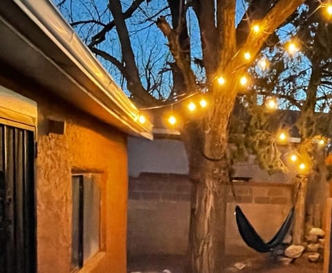 Lighted backyard / patio area