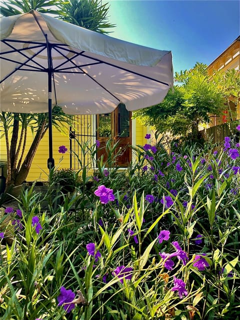 Garden entry to cottage studio