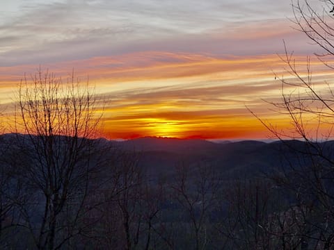 Welcome to The Flippin View!