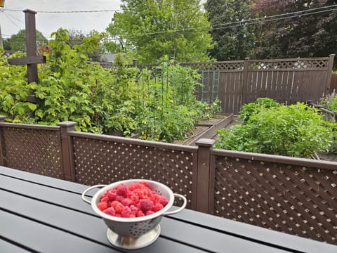 Start your day by picking fresh raspberries from the garden or make some fresh salsa with the tomatoes and peppers