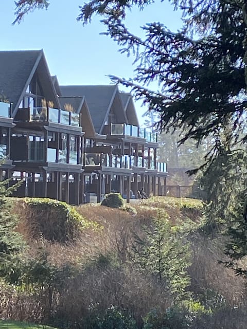 A view of the condos from Big Beach.