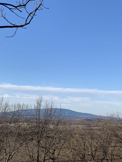 Family Cabin with spectacular views! Cabin in Arkansas