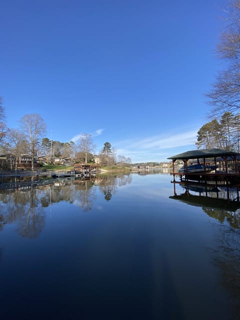 View from Dock