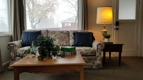 Cozy living room with wireless TV, games, puzzles, etc.