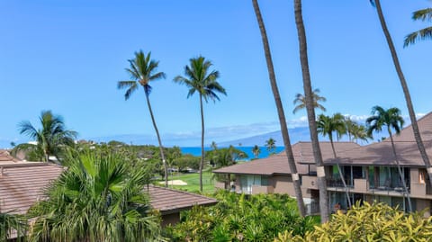 View from Lanai