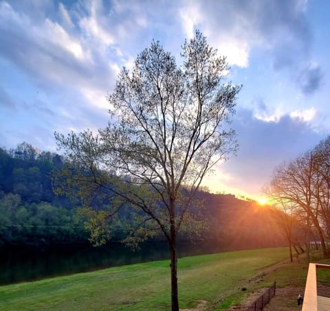 Incredible Sunsets!!