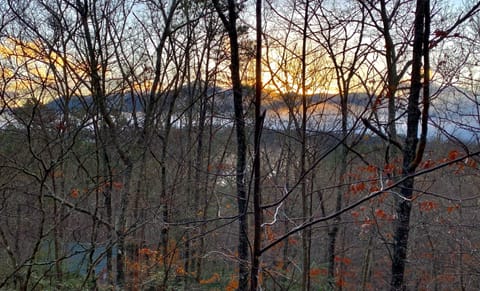 View from back porch in December. 