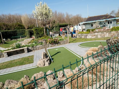 Recreation, Garden, Lawn, Artificial Turf, Landscaping, Park, Yard