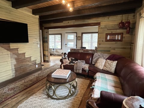 A cozy family room has a curved satellite TV (Great Dane not included).