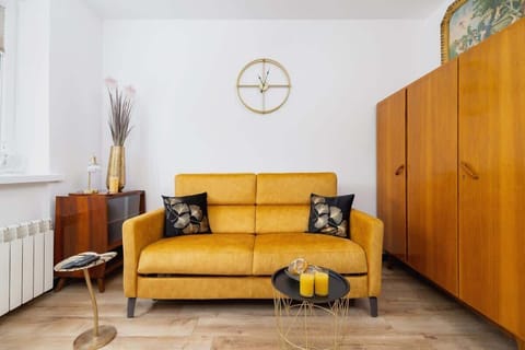 The living area features a sleek sofa bed and a flat-screen television.