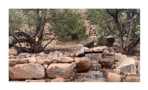 Our private pond with waterfall.