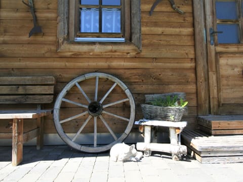 Wheel, Window, Plant, Wood, Automotive Tire, Building, Grass, House, Door, Siding