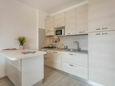 Tap, Cabinetry, Countertop, Kitchen Sink, Sink, Building, Furniture, Kitchen Stove, Flowerpot, Kitchen