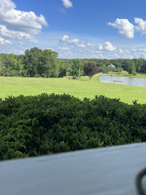 View of pond from porch 