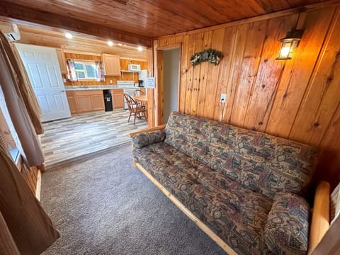 Cabin 4's living room