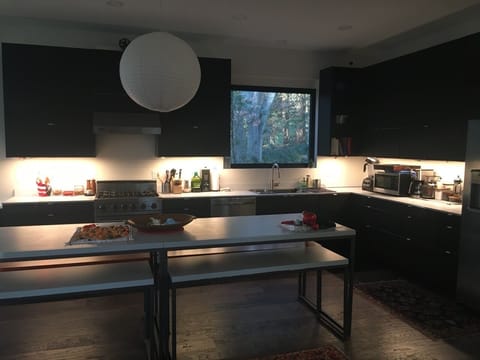 Gourmet chef's kitchen.