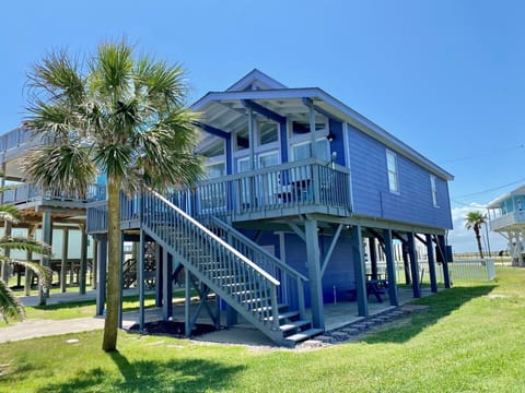 Barefoot and Blessed - the cutest purple house in the neighborhood!