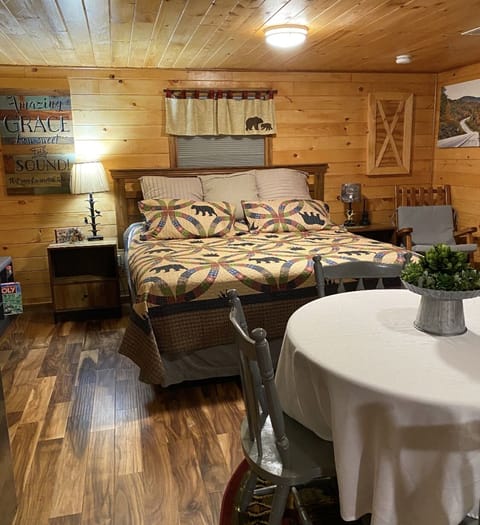 Open concept bedroom/living room