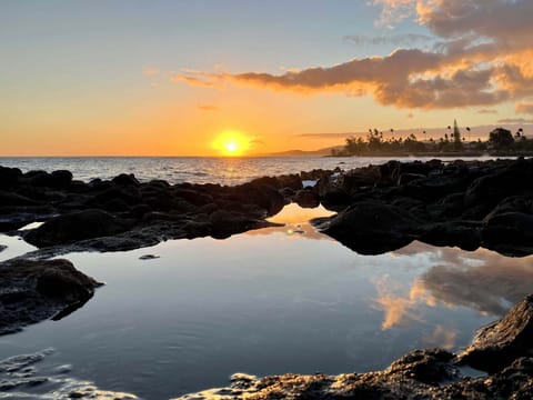 Walk to sunset and coves with turtles