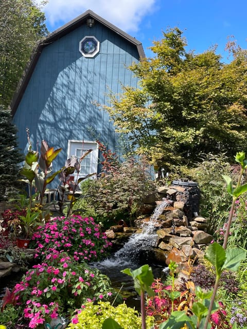 Koi pond adjacent to the cottage in its summer glory.