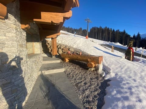 Lions Lodge - apartment/apartment, separate toilet and bath/shower Apartment in Salzburgerland