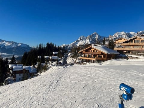 Lions Lodge - apartment/apartment, separate toilet and bath/shower Apartment in Salzburgerland