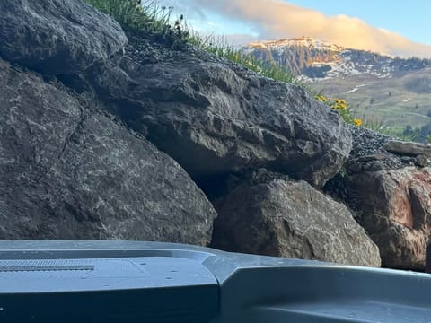 Lions Lodge - apartment/apartment, separate toilet and bath/shower Apartment in Salzburgerland