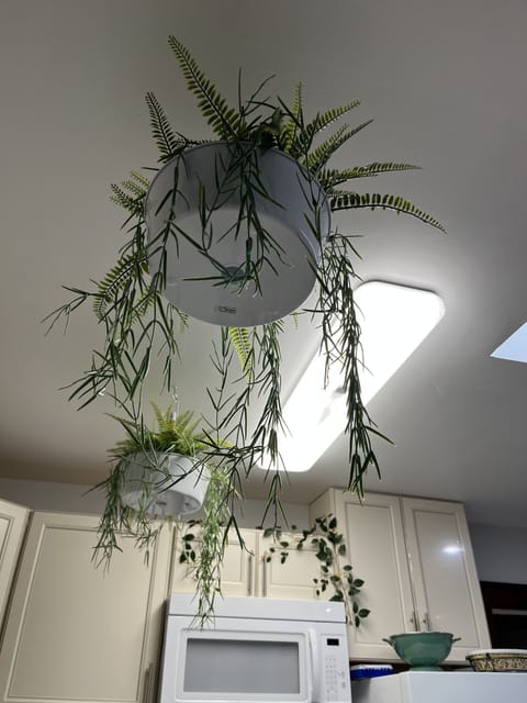 It's kinda dreamy and relaxing in here.