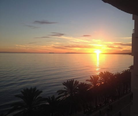 Amazing sunsets from the big terrace