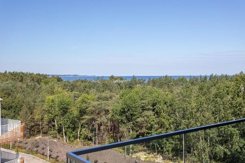 View from the window