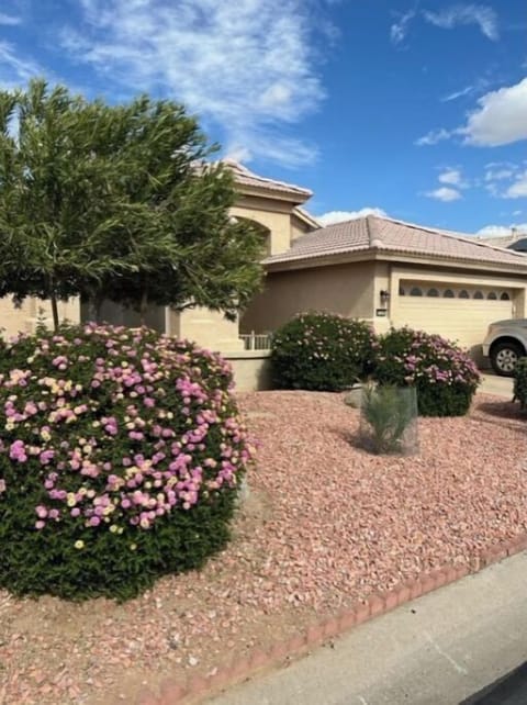 Front of house with professional, mature landscaping 