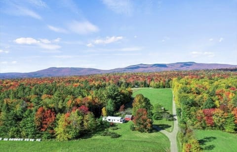 Property includes field behind house and woods to the left 