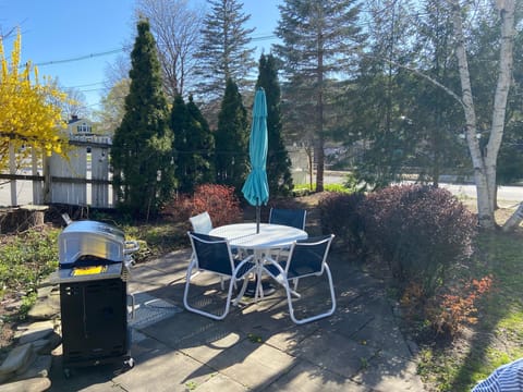 Side yard with gas grill, patio table, and Adirondack chairs. 