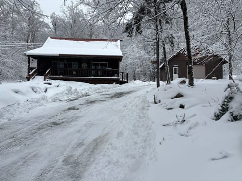 The Cabin and U-Driveway 