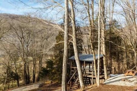 Daytime Cabin Showing Private Outdoor Picnic Table and Firepit