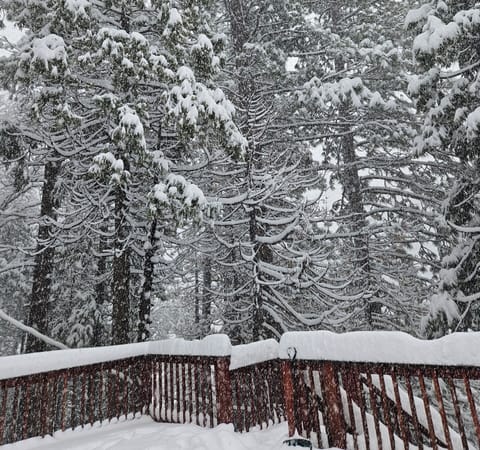 Sugar Bear Cabins Deck! It is huge! 