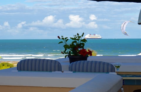 Watch the cruise ships come out of the port every day
